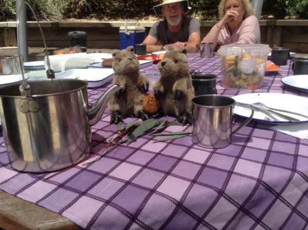 Quokkas