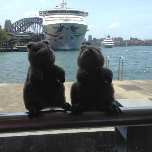 Quokkas