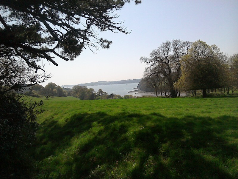 Trelissick