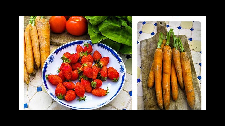 Bring Back The Bendy Carrots! Tottie Limejuice Raises The Case For Home Gardening