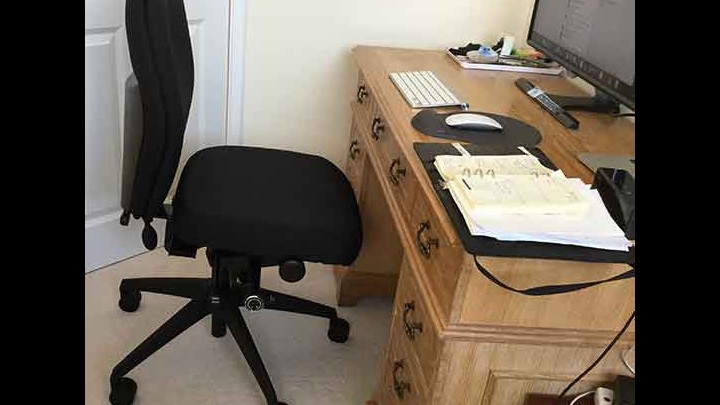 Posturite ergonomic online chair