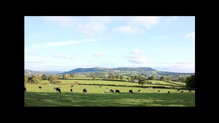 Rowlestone Court - A Great Place To Visit In The Welsh Black Mountains