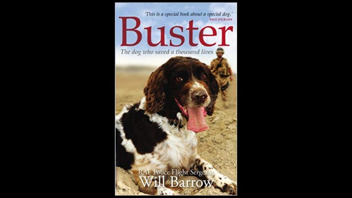 Buster, the Dog Who Saved A Thousand Lives