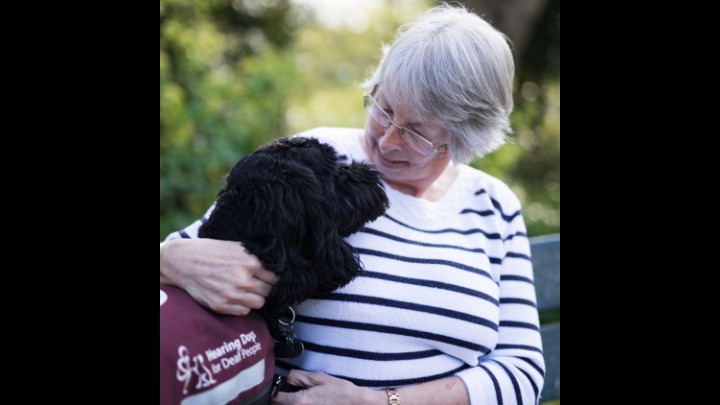 My  Beloved Super Hearing Dog - Clay