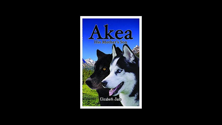 Readers Reviews Of Akea His Mother's Son By Elizabeth Jade