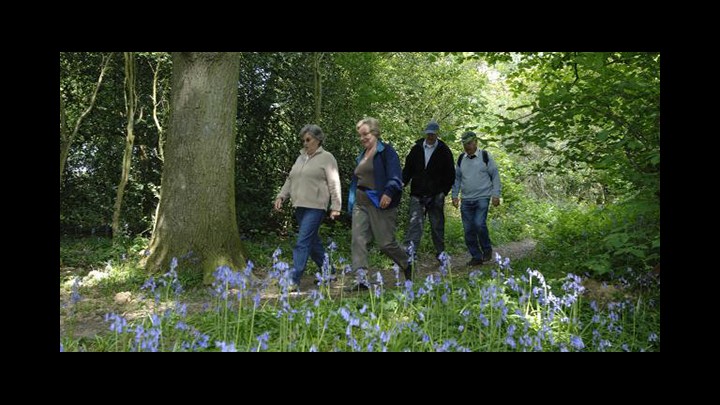 Walking For Health - Discussing The Benefits Of A Daily Stroll