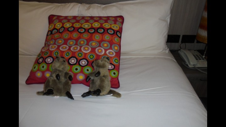 A Diary Of My Travels From The Quokkas Perspective Day 2