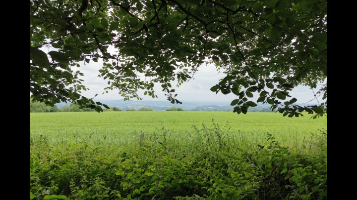 The Beauty Of Bromyard Downs